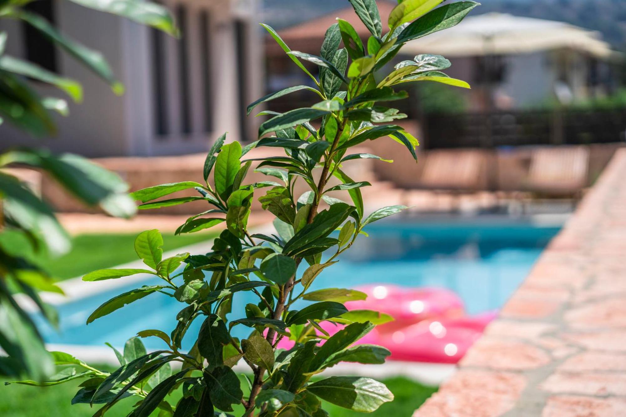 Marival Luxury Living - Adults Only Apartment ซิโวตา ภายนอก รูปภาพ